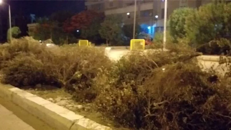 سكان حى البشاير تستغيث .. انقذونا