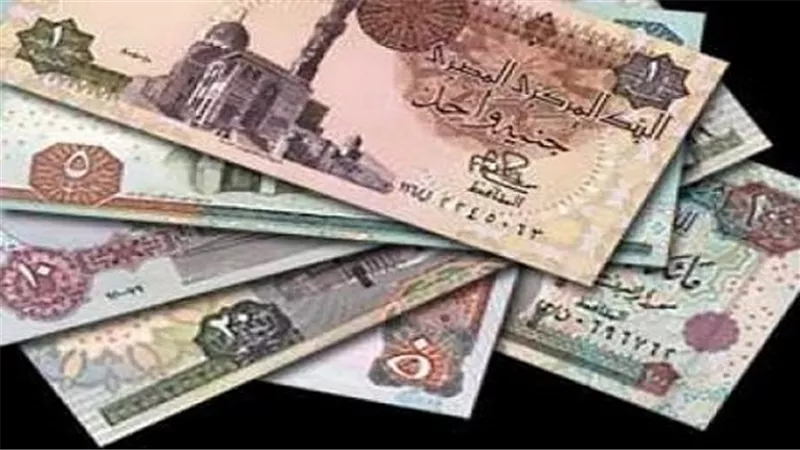 المحلل الاقتصادي محمد نور: أداء الجنيه المصري تاني أقوى أداء عملة على مستوى العالم بعد الدولار