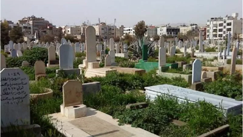 هل يجوز وضع الزرع على القبر؟..البحوث الإسلامية تجيب