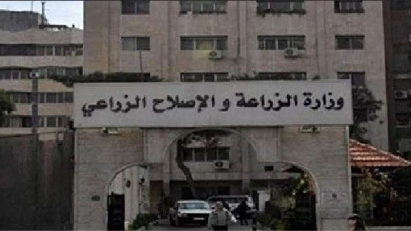 وزارة الزراعة: ارتفاع الصادرات الزراعية لـ أكثر من 4 مليون طن والبطاطس تحتل المركز الثاني