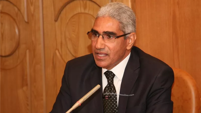 الإدارة الالكترونية بين النظرية والتطبيق .. فى مؤتمر دولى بحقوق جنوب الوادى