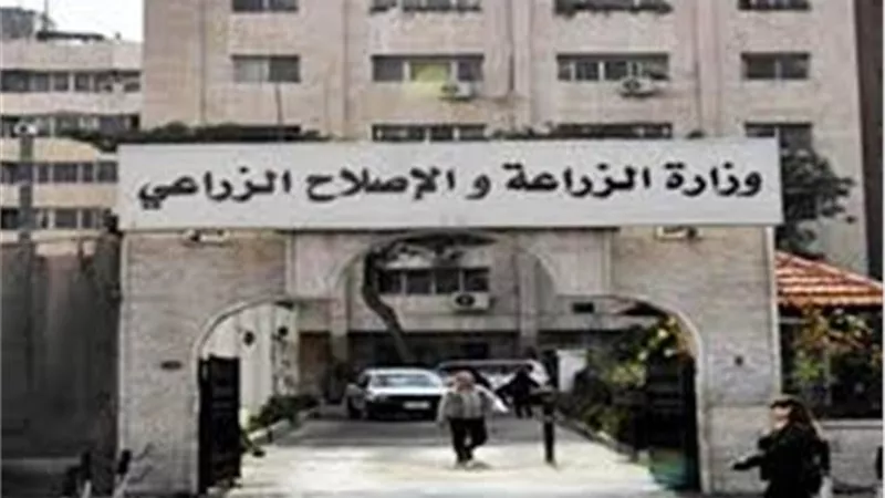 الزراعة ..إحالة ملف صندوق التأمين على الماشية الى النائب العام