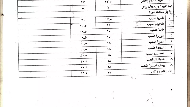 محافظ الفيوم يتفقد محطات الوقود ومواقف سيارات الأجرة