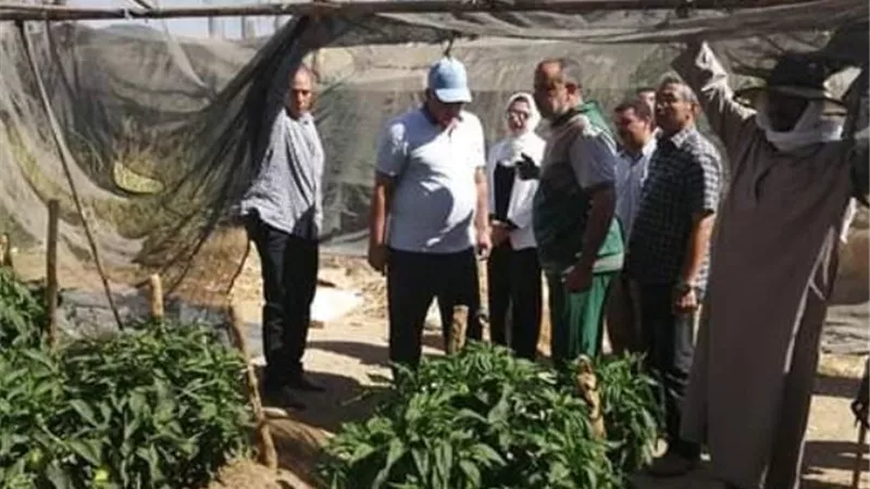 محافظ الوادى الجديد يتفقد مشروع الصوب الزراعية بغرب الموهوب بالداخلة