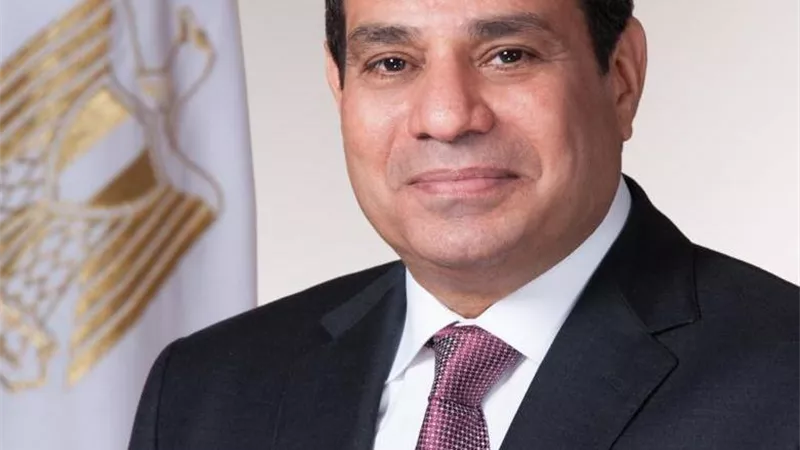 الرئيس السيسى يصل إلى النيجر لرئاسة القمة الإفريقية الاستثنائية