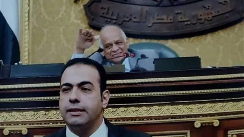 وكيل رياضة البرلمان يطالب بالتحقيق فى الخروج المهين لمنتخب مصر من كأس افريقيا