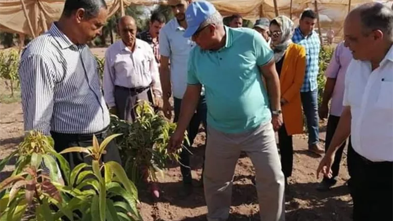الزملوط يتفقد مشروع 