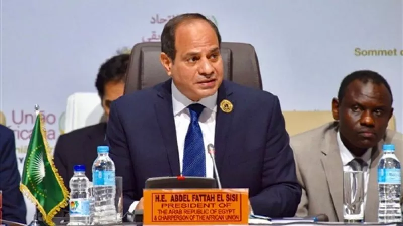 السيسي يترأس قمة تنسيقية مصغرة بالنيجر..اليوم