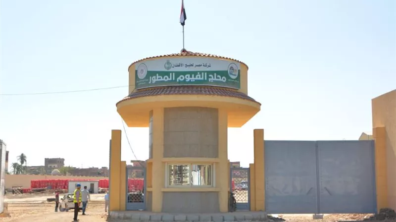 وفد من كبار تجار القطن يزور محلج الفيوم المطور بعد نجاح تجارب التشغيل