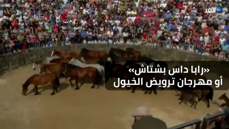 شاهد .. أول مهرجان لترويض الخيول الوحشية بأسبانيا