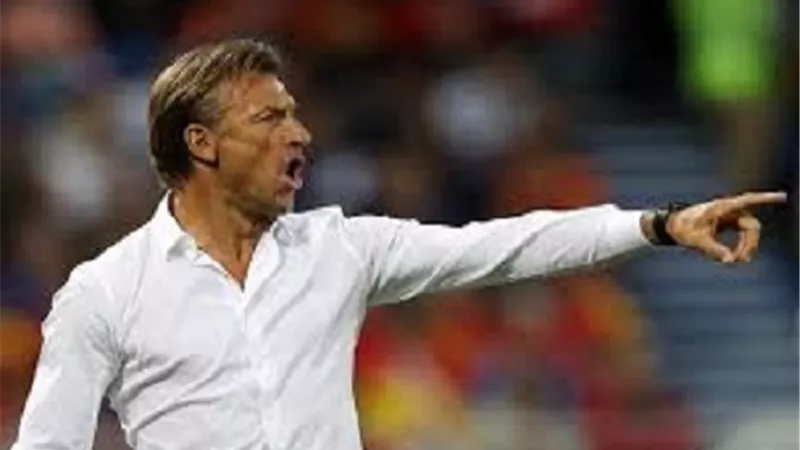 رينار يكشف شروطه لتدريب الاهلى