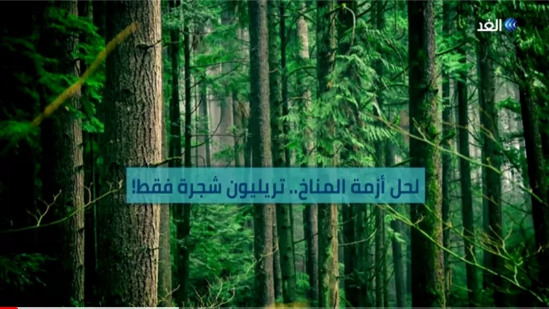 تريليون شجرة لحل أزمة المناخ.. فيديو