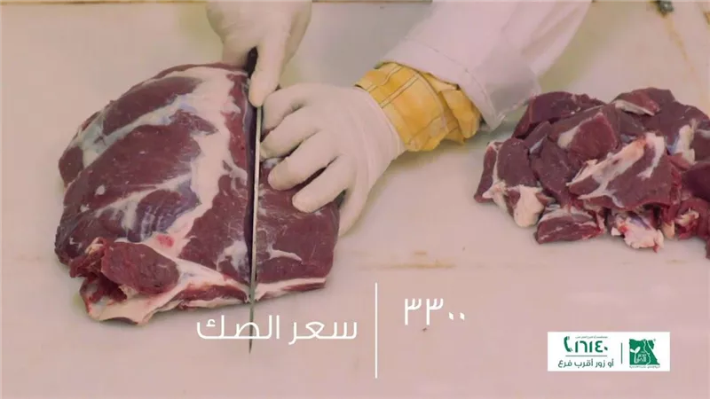 مصر الخير تطلق حملة صك الأضحية للعام الثالث على التوالي