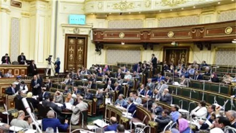 مجلس النواب يوافق على قانون الملكية الفكرية