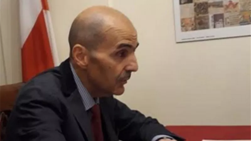 مشاورات لتنفيذ خط طيران مباشر بين العاصمة الجورجية والقاهرة