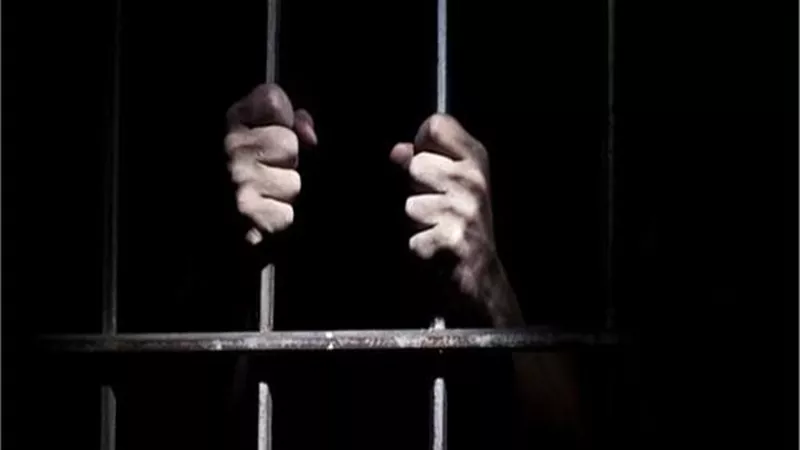المؤبد للصوص مزرعة الدواجن بالشرقية