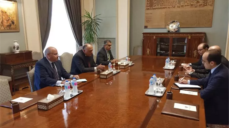 وزير الخارجية يؤكد على أهمية توفير الرعاية اللازمة للمواطنين المصريين في الخارج