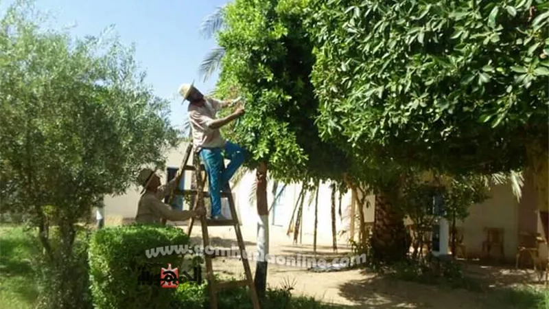 رغم إحالته للمعاش .. 