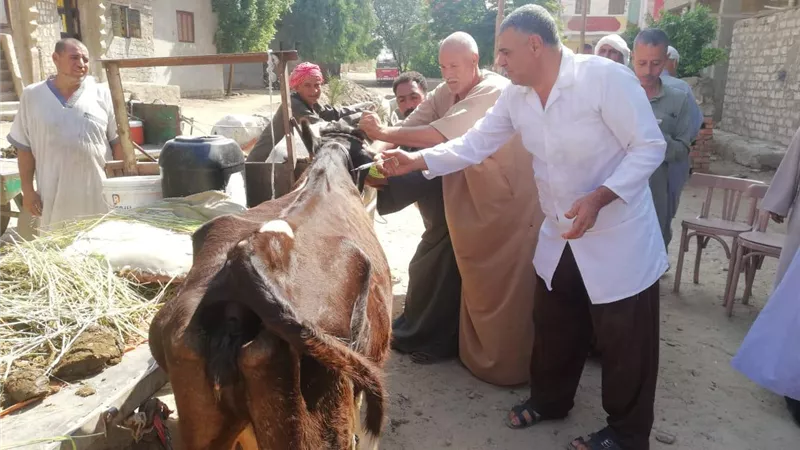 قافلة بيطرية مجانية لمستقبل وطن باهناسيا ببنى سويف