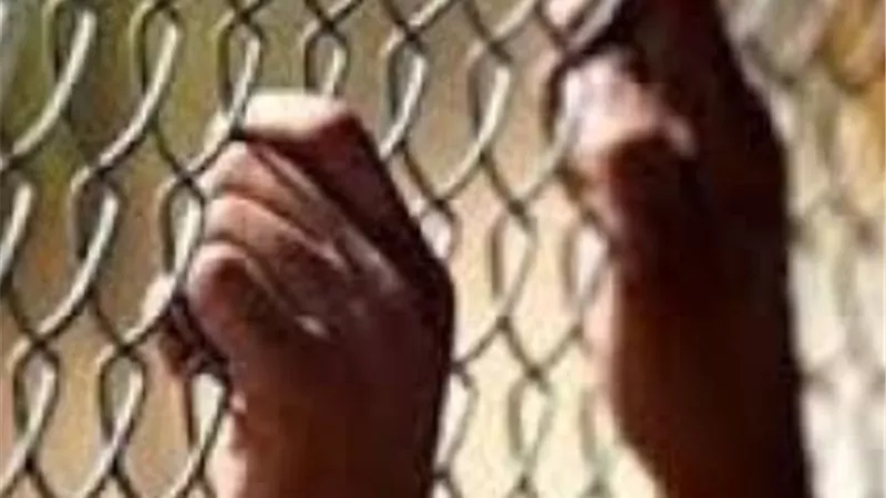 حبس عاملين قتلا موظف بقليوب لسرقة سيارته