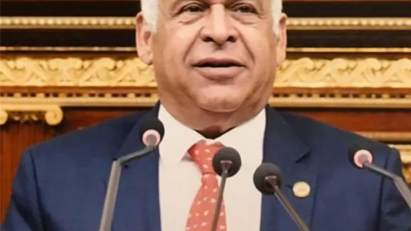 فرج عامر : تنفيذ الحكومة لتكليفات السيسى بتحويل الفئات الأكثر احتياجا للعمل والإنتاج يقضى على الفقر