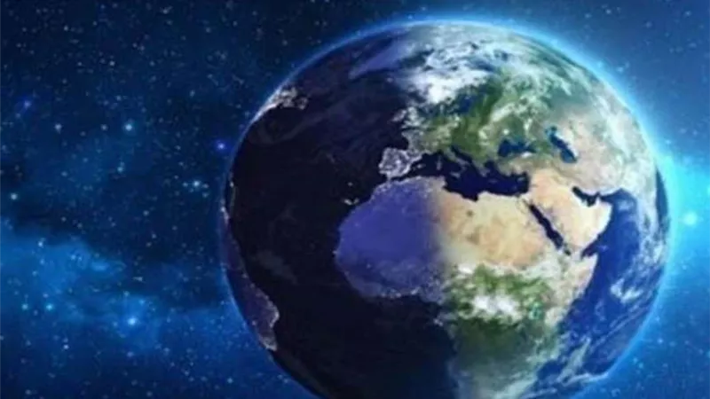 ما الكائنات التي سترث الهيمنة على الأرض حال اختفاء البشرية؟