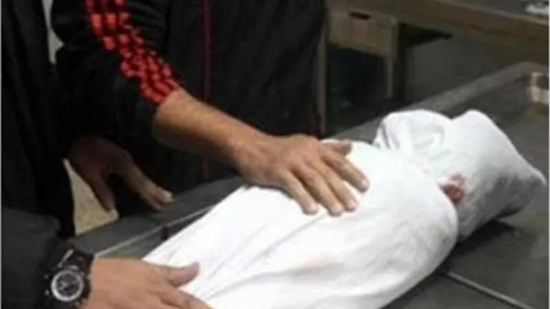 مصرع طفل بركله حصان خلال رقصة فى فرح بشبرا الخيمة