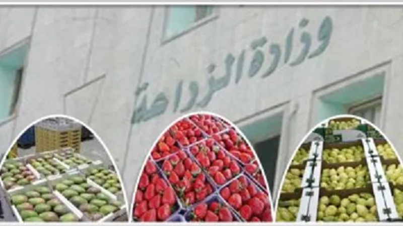 5 شروط يجب توافرها للعمل بوزارة الزراعة.. تعرف عليها