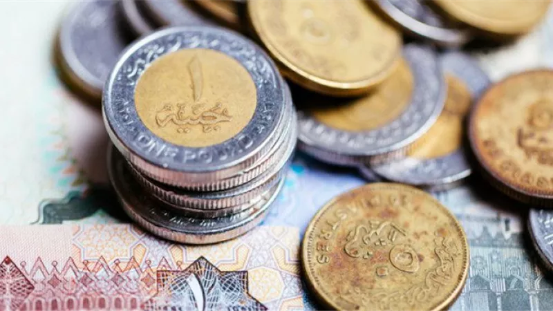المالية تطرح كميات إضافية من «الفكة» لتلبية احتياجات المواطنين