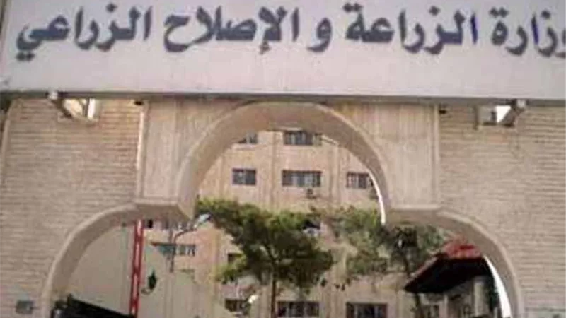الزراعة .. حل مجلس إدارة الصندوق المركزي لتنمية الثروة الحيوانية وتشكيل مجلس جديد