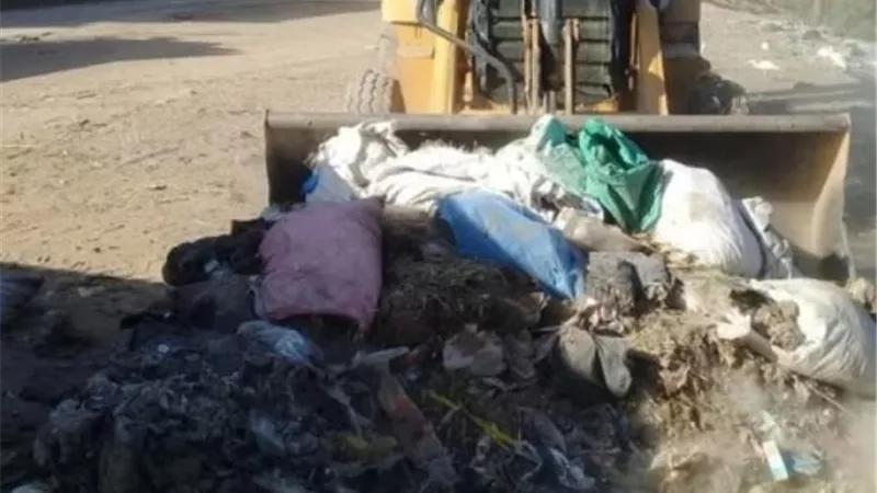 محافظة سوهاج: رفع 446 طن قمامة ومخلفات صلبة واستمرار رفع كفاءة الشبكة الكهربائية