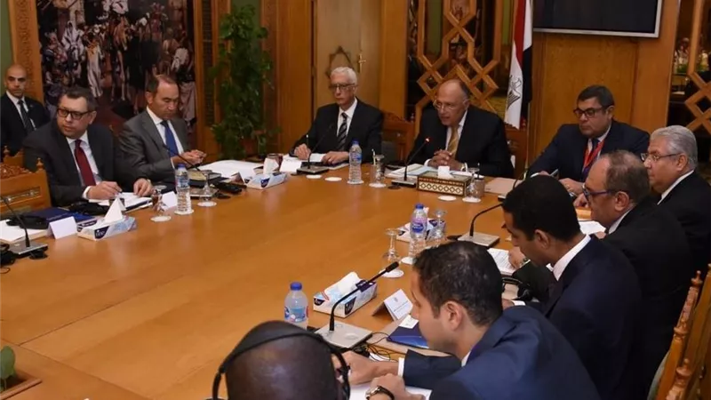 وزير الخارجية يؤكد على اهتمام مصر بدعم جهود التنمية الشاملة في القارة