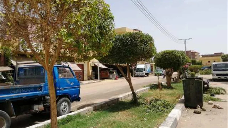 حملة لتهذيب الحدائق والجزر الوسطى بالطرق بمركز الطود جنوب الأقصر