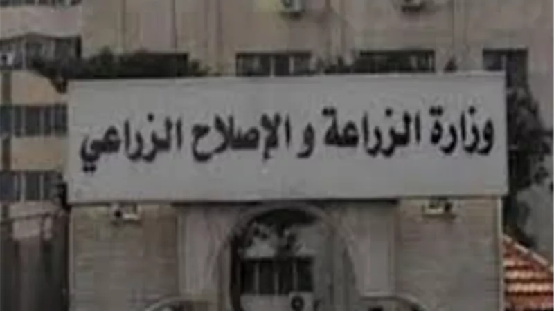 الزراعة: ارتفاع صادرات مصر الزراعية لـ أكثر من 4.3 مليون طن