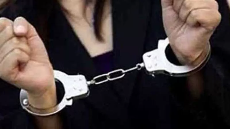 سيدة وشقيقين وراء مقتل مالك مصنع بالدقهلية وسرقة مسكنه