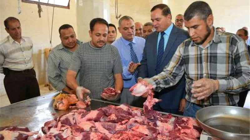100 جنيه لكيلو اللحوم العجالي بجامعة سوهاج في عيد الأضحي ..صور