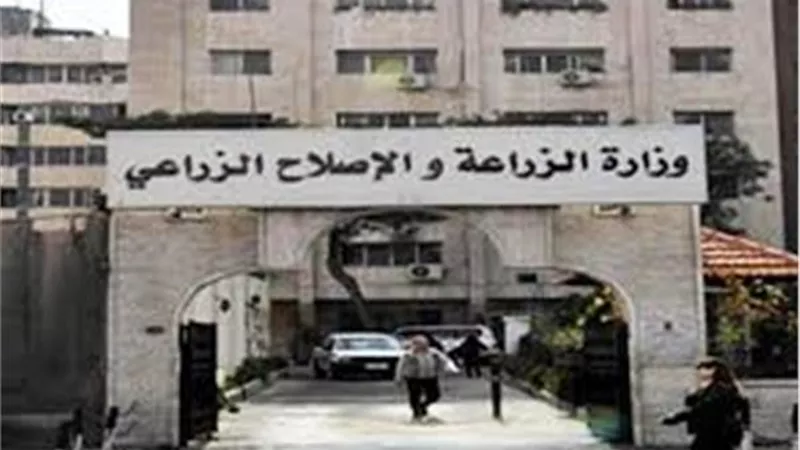 الزراعة: تحصين أكثر من 2 مليون رأس ماشية ضد مرض الحمي القلاعية حتى الان