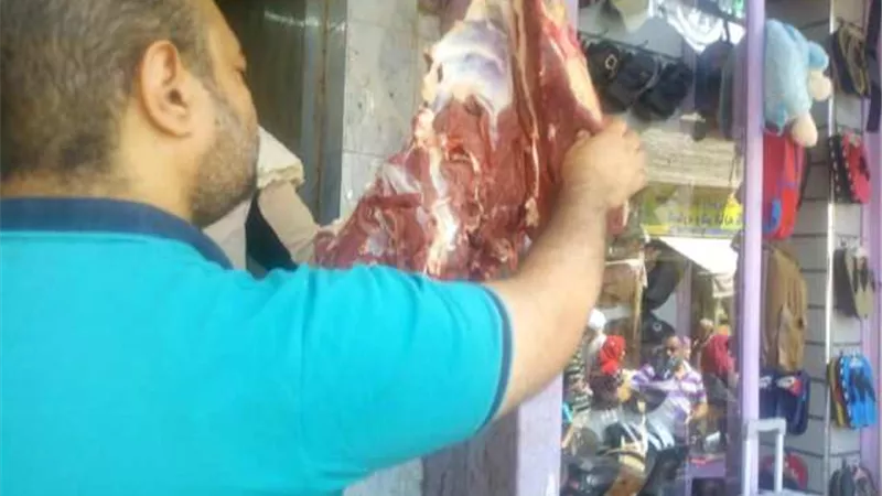 تحرير 32 محضر تمويني .. وضبط 100 كيلو أسماك غير صالحة بسوهاج