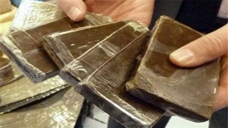 ضبط عاطل بحوزته 43 قطعة حشيش وسلاح نارى فى طنطا