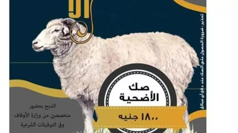 الجيزه تحقق المركز الثاني في مبيعات صكوك الأضاحي