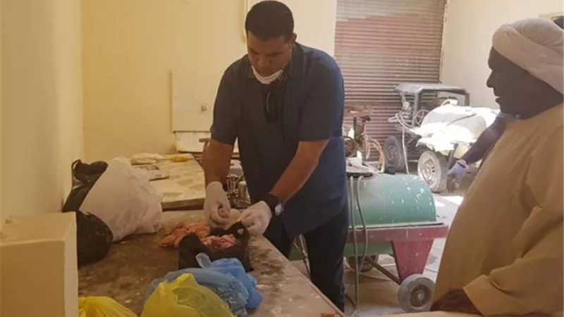 فايد الإسماعيلية تكافح الكلاب الضالة استجابة للأهالي ..صور