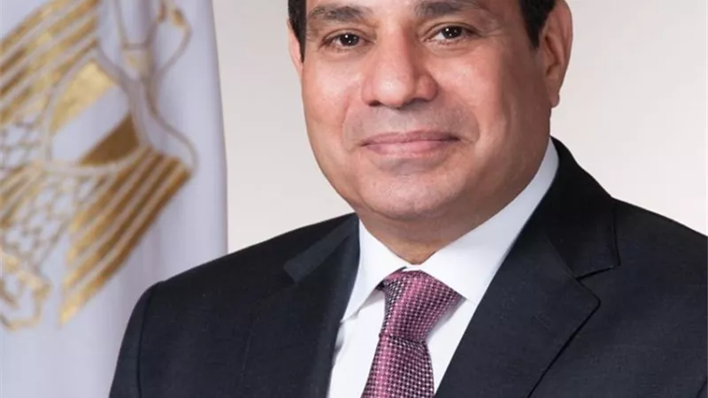 رئيس مجلس النواب يهنئ الرئيس عبد الفتاح السيسى بذكرى ثورة يوليو المجيدة