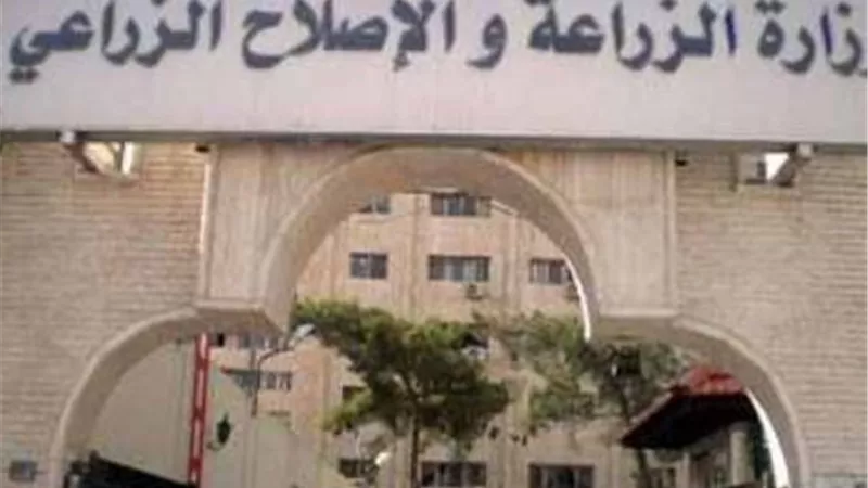 الزراعة: مصر تحقق رقماً قياسياً في انتاج المحاصيل السكرية هذا الموسم