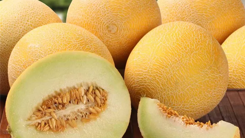 (الشمام ) سمم 8 افراد من أسرة بسوهاج