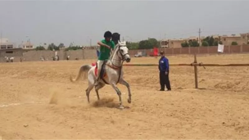 الشرقية تستعد لتنظيم مهرجان الخيول العربية في سبتمبر القادم بأرض الفروسية ببلبيس