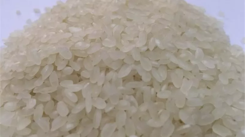 ضبط أطنان من الأرز بالدقهلية