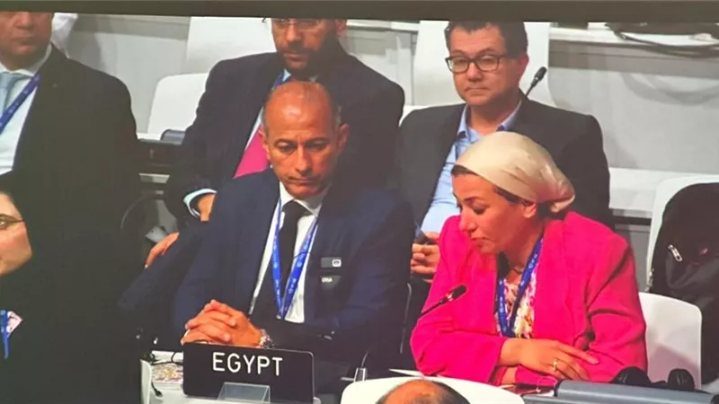 وزيرة البيئة تهنئ دولة الإمارات على نجاح رئاستها لمؤتمر COP28