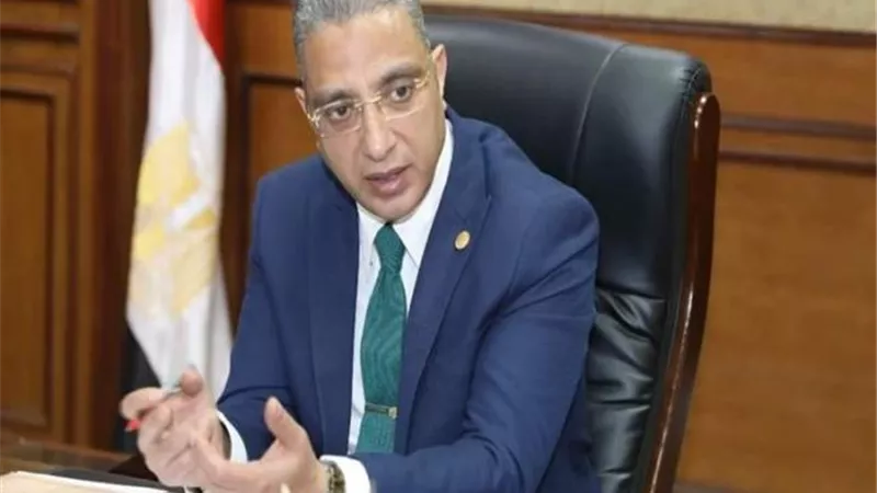 الانصاري يشيد بأهالى الفيوم ويثمن دورالقضاء لإنجاح المشهد الديمقراطي