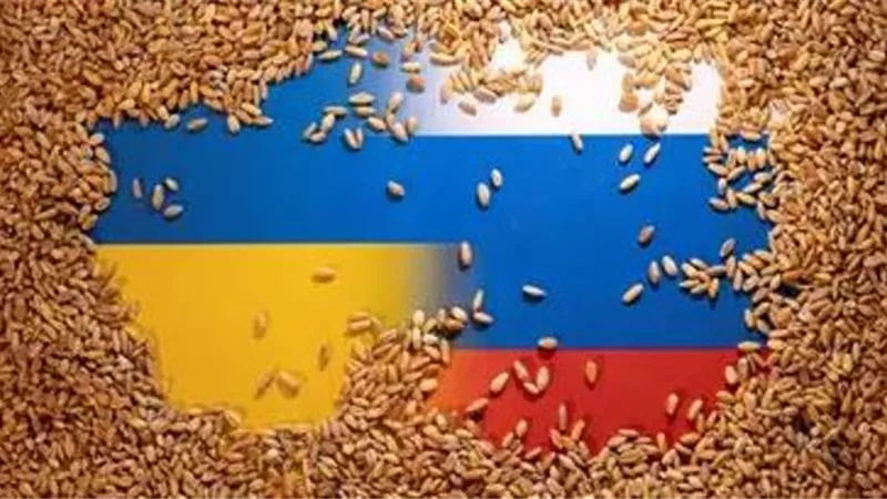 صادرات الحبوب الأوكرانية انخفضت إلى 14.7 مليون طن في موسم 2023