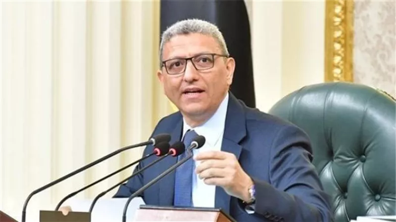 سعد الدين: مصر مقبلة على ممارسة سياسية حزبية وديمقراطية جديدة